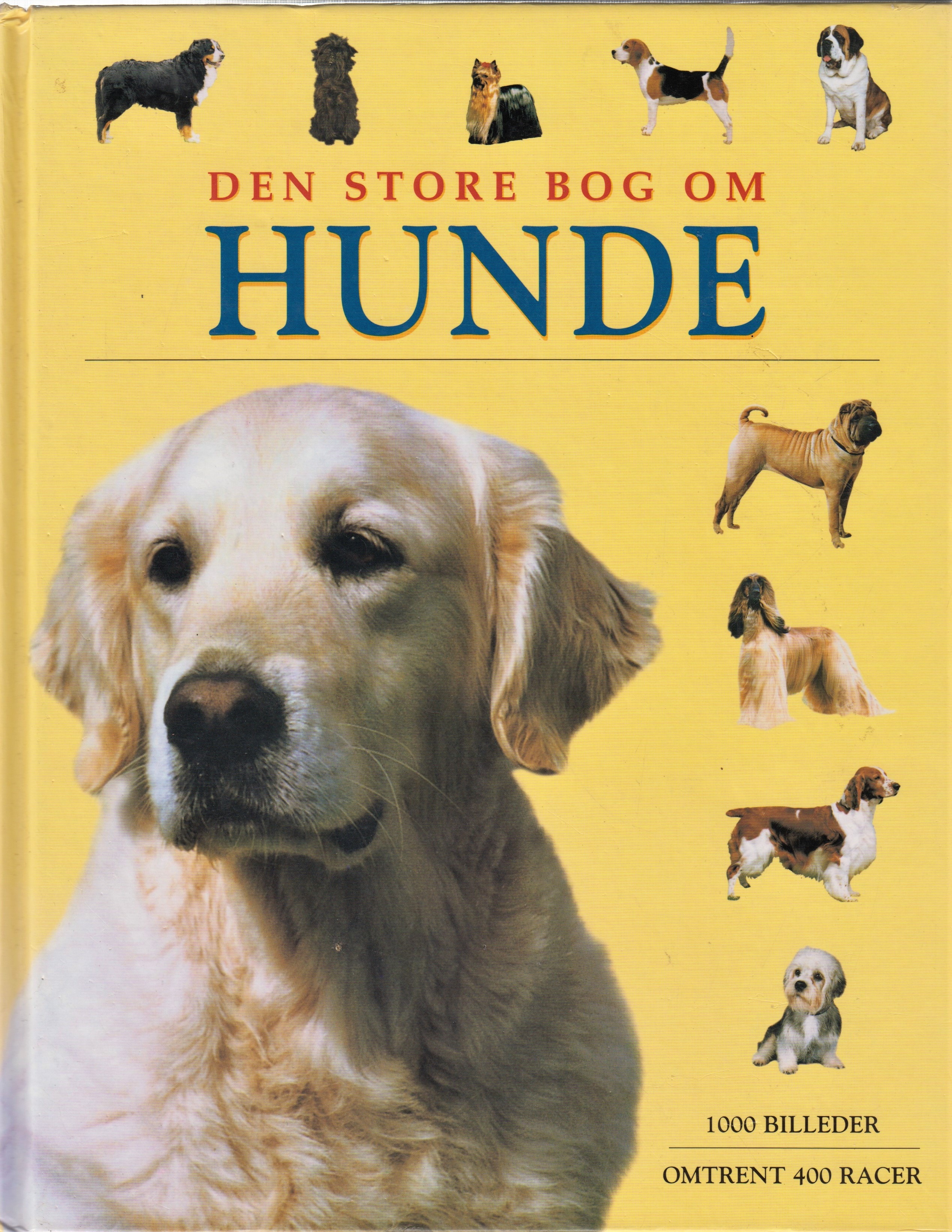 Høj eksponering fritaget mærke Få Den store bog om hunde af Cunliffe, Juliette | Bøger & Kuriosa